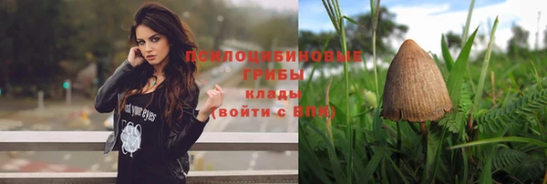 хмурый Абаза