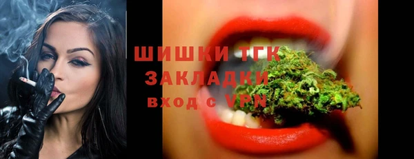 хмурый Абаза