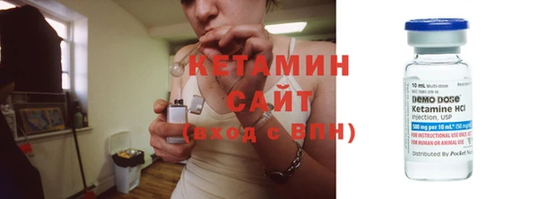 сатива Билибино