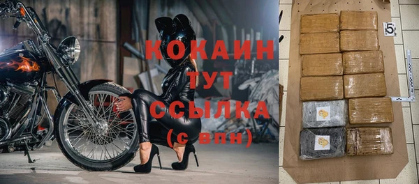 прущие крисы Алзамай