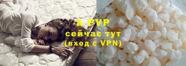 хмурый Абаза